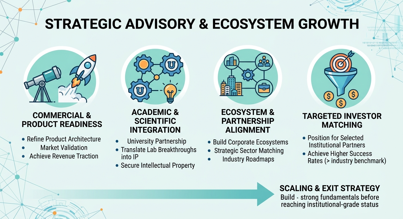 Strategic Advisory Beyond Traditional Venture Capital for Scale-Ups and Research Spin-Outs Lebanon